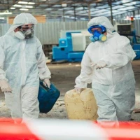 Non licensed Asbestos Removal 0